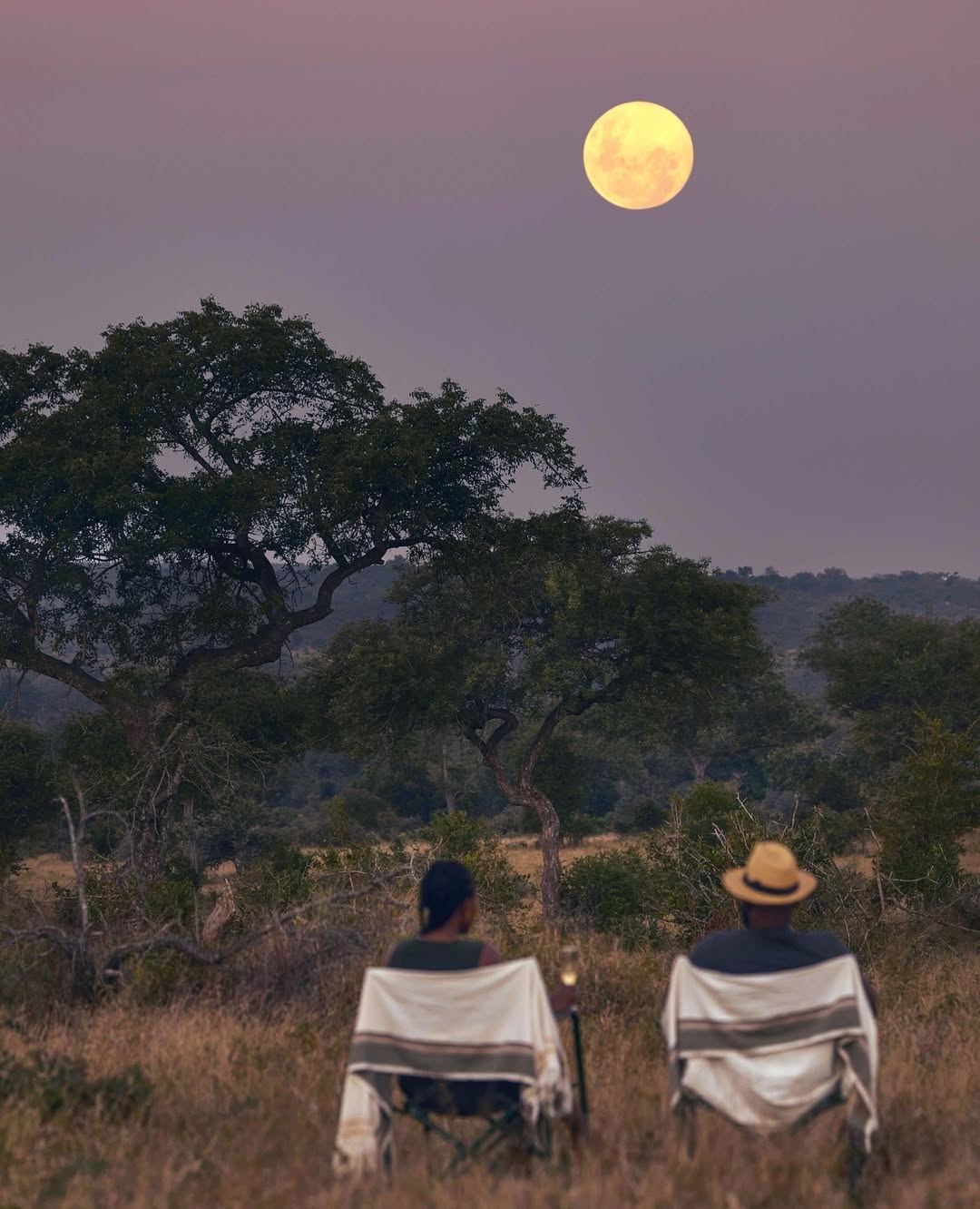 Honeymoon Safari — Romantic Safari Experiences