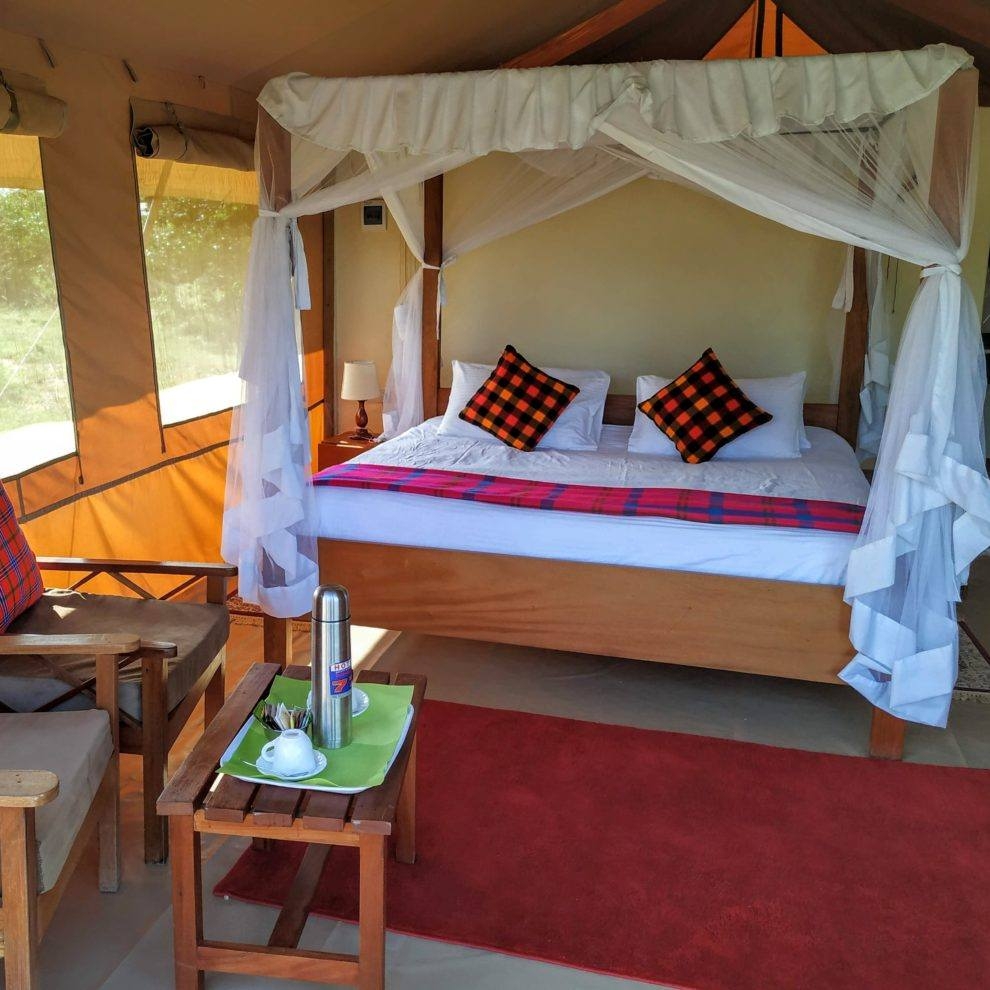 Budget Safari — Group Camps & Shared Safaris