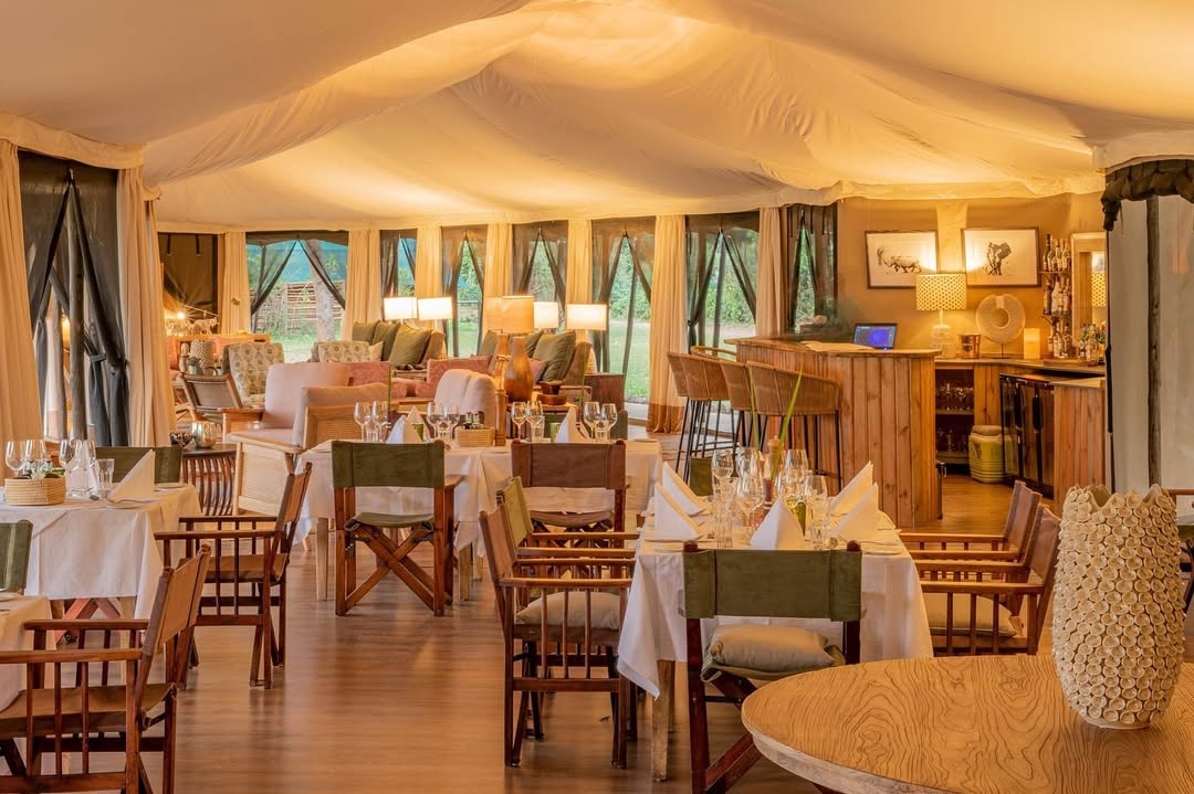 Mid-Range Safari — Comfort & Value