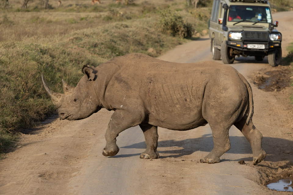 Oloika Africa Safaris Team